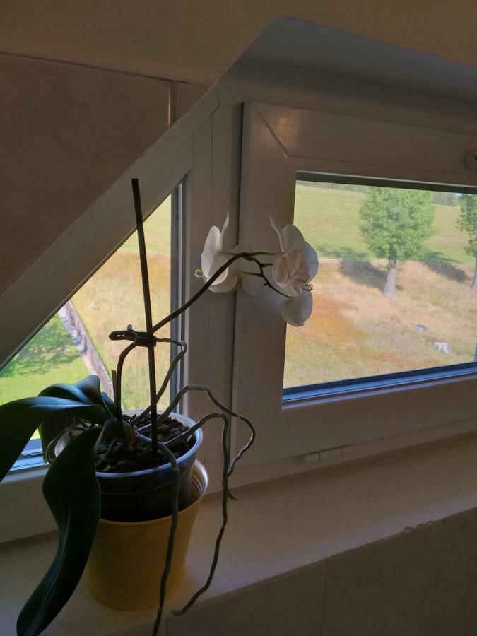 U Pohody Hotel Kovarska Luaran gambar